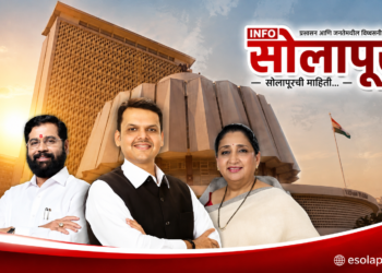 महायुती सरकार : महामंडळ वाटपाचा मुहूर्त ठरला! भाजपच्या वाट्याला सर्वाधिक ४८ टक्के, महायुतीत ४ जागांवरून तिढा; राष्ट्रवादी काँग्रेसला २३ टक्के