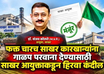 सोलापूर विभागातील केवळ ४ साखर कारखान्यांचे प्रस्ताव परिपूर्ण; ४५ कारखान्यांचे प्रस्ताव त्रुटींमुळे परत
